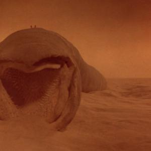 Picture for song 'Raised on Arrakis (Harthouse Records)' by artist 'Ixxe13'