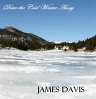 Picture for song 'Alman' by artist 'James Michael Davis'