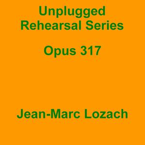 Picture for song 'Unplugged Rehearsal Series Opus 317' by artist 'Jean-Marc Lozach'
