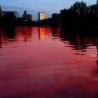 Picture for song 'Turn the waters red' by artist 'johnjohn808'