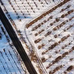 Picture for song 'COLD ASS DAY' by artist 'Johnny Fubar'