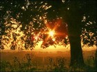 Picture for song 'See The Sun' by artist 'Jordan Woollen'