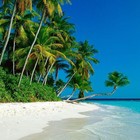 Picture for song 'Paradise (FREE DOWNLOAD)' by artist 'jStudios'