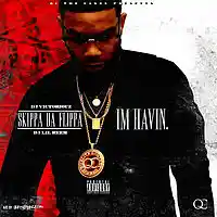 Picture for song 'Havin (Prod. By King LeeBoy)' by artist 'King LeeBoy'