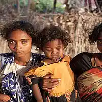 Picture for song 'Dalit' by artist 'Kurt Anderson (US)'