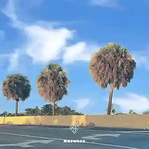 Picture for song 'Answers [Prod. By Loseph Jones]' by artist 'Loseph Jones'