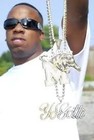 Picture for song 'fms' by artist 'Luney Tune'