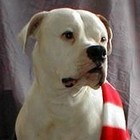 Picture for song 'The Begining' by artist 'MIDWEST HUSTLAZ'