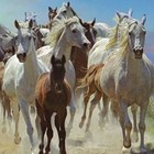 Picture for song 'Roaming Free #2' by artist 'Mikejazz'