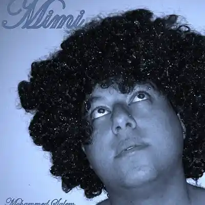 Picture for song 'Lies' by artist 'Mohammed Salem'