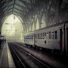 Picture for song 'Cries & Whispers' by artist 'Mr Dogbolter'