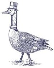 Picture for song 'JUMP ON IT' by artist 'Mr. Goose'