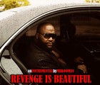 Picture for song 'Revenge Is Beautiful | Free DL' by artist 'Mr.Kooman'