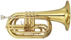 Picture for song 'Brass It Up *SOLD*' by artist 'P-Long Beats'