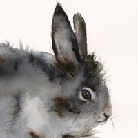 Picture for song 'rabbit' by artist 'raelissmusic'