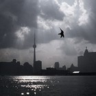 Picture for song 'Away On the Wind' by artist 'Ralph Atkinson'
