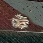 Picture for song 'New World' by artist 'Random Krel'