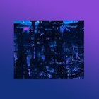 Picture for song 'Midnight High.mp3' by artist 'Trust Real'