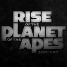 Picture for song '*BRAND NEW 2011* : Rise' by artist 'RellRomance'
