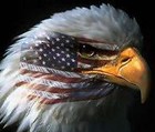 Picture for song 'American Freedom (United We Stand)' by artist 'Rick Jones'