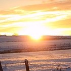 Picture for song 'Winter Sun' by artist 'Strawberry Fools'