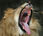 Picture for song 'Ahhhhhhhh' by artist 'Street Gang Beats'