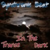 Picture for song 'Trance In The Dark' by artist 'Synchronic Beat'