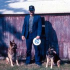 Picture for song 'Is There A Reason?' by artist 'Taggy Lee'