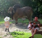 Picture for song 'Time After Time (Original)' by artist 'TexScratch'
