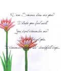 Picture for song 'Dear Simona' by artist 'The Grains Music'