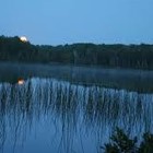 Picture for song 'Peacefully (Nature mix)' by artist 'Tracing Shadows'