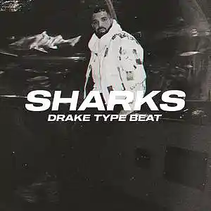 Picture for song 'Sharks *BLACK FRIDAY SALE -50*' by artist 'Wendigo'