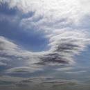 Picture for song 'FLY AWAY' by artist 'WES PIPES BEATS'