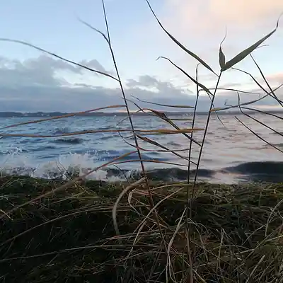 Picture for song '20241210_163503_FS' by artist '786 scheint-Al'lahs Bande'