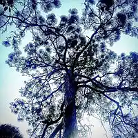 Picture for song 'The Key' by artist 'JKnock (US)'