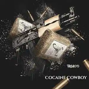 Picture for song 'Cocaine Cowboy' by artist 'TMBM313'