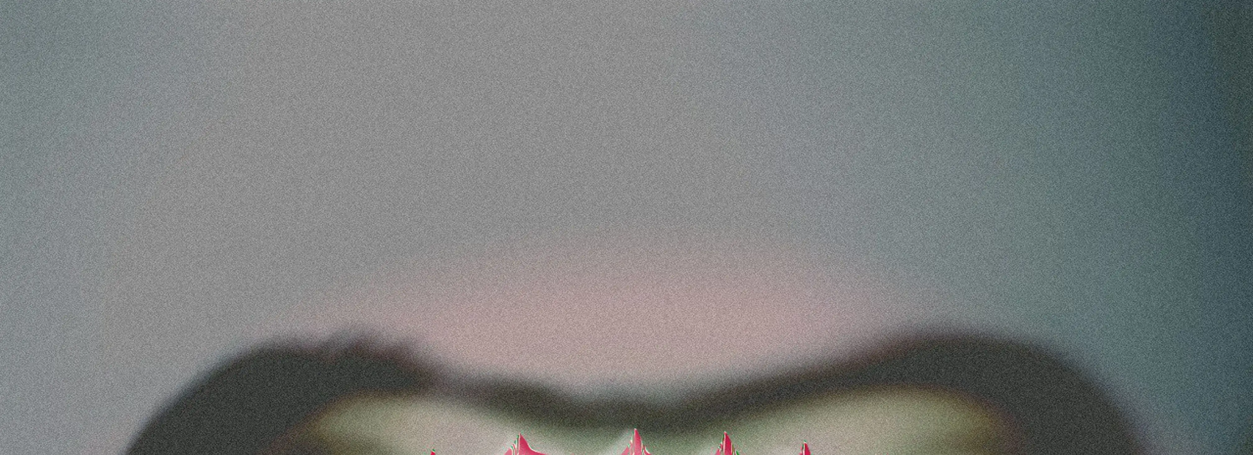 cover pic