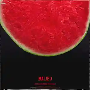 Picture for song 'MALIBU - pop' by artist 'Alexx Melo'