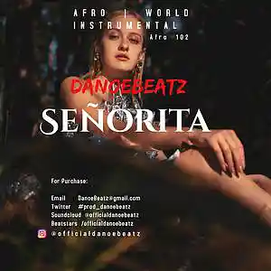 Picture for song 'Señorita' by artist 'DanoeBeatz'