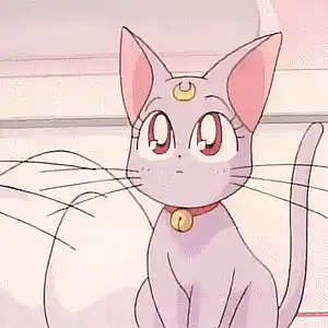 Picture for song 'Princess' by artist 'Jack Reilly'