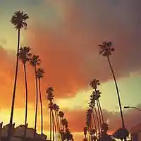 Picture for song 'Cali Vibes' by artist 'McCoy Beats'