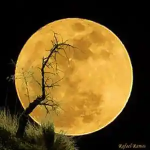 Picture for song 'Yellow Moon June 018' by artist 'MGlennM'