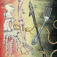 Picture for song 'Vaguely Nantucket: Joker's Buggy' by artist 'paul gorman and the hypnotist collectors'