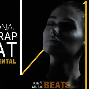 Picture for song 'Still Here [ instrumental ] by SHAO' by artist 'Roberto Luigi'