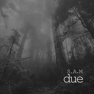 Picture for song 'due' by artist 'IOWA'