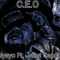 Picture for song 'C.E.O' by artist 'Shumiyayo'