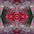 Picture for song 'ADAM's Heart Rising' by artist 'The Well is Deep'