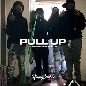 Picture for song '"PULL UP" - Big 30 x Big Scarr Type Beat' by artist 'Young Snake Beats'