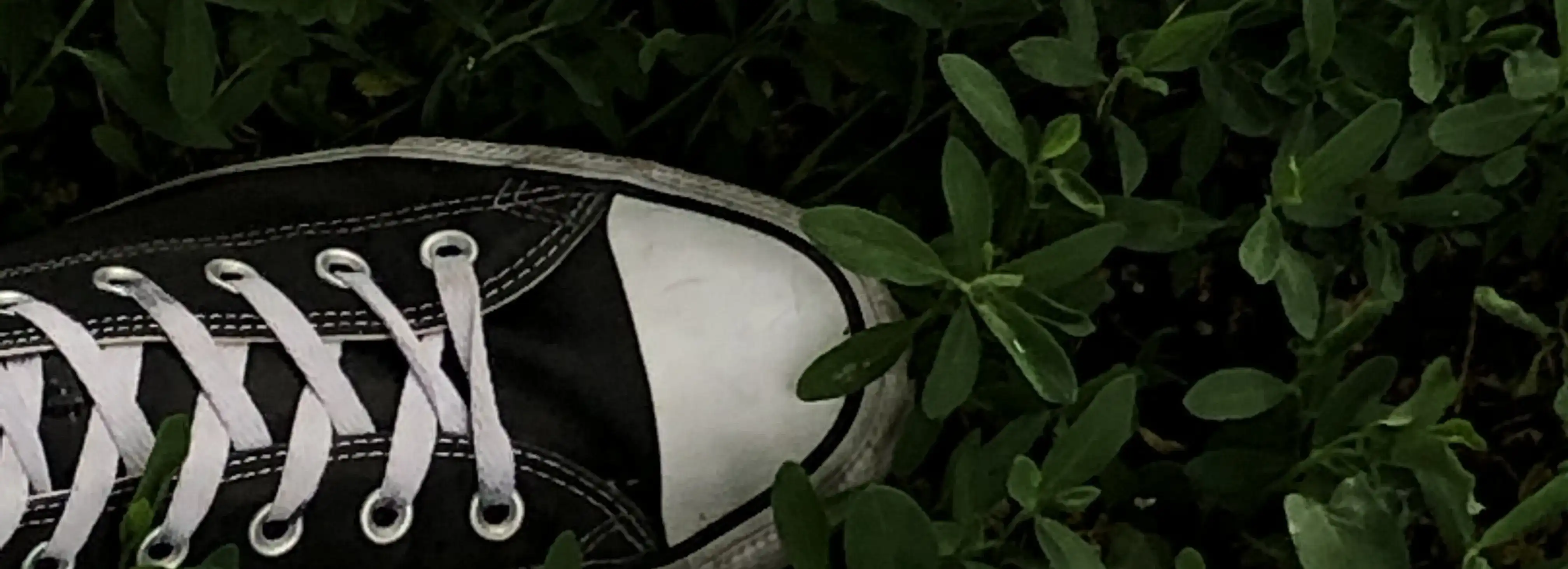cover pic