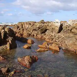 Picture for song 'Rock Pool Near Cape Agulhas' by artist 'Carl Gordon'